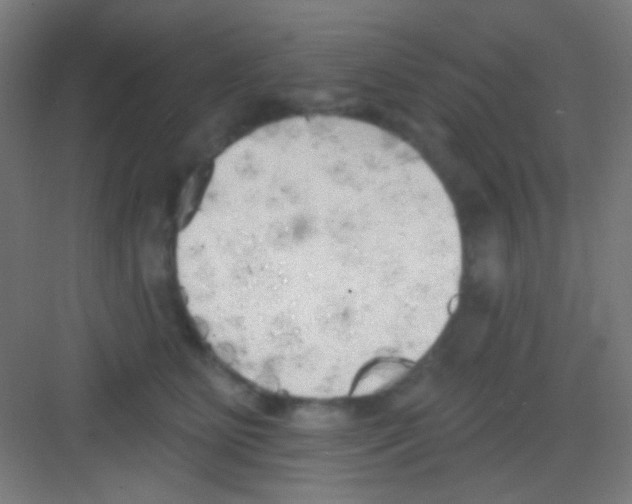 X0000081280515200702081956