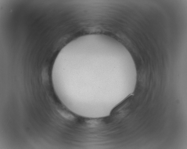 X0000081280516200702081956