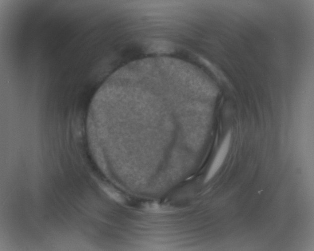 X0000081280517200702081956