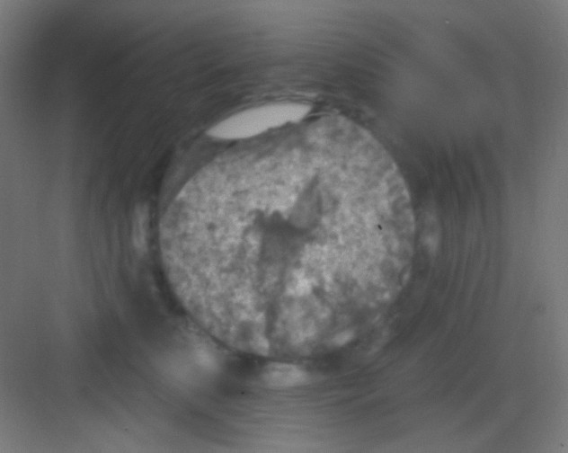 X0000081280519200702081956