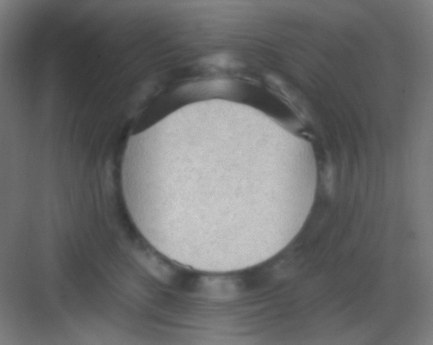 X0000081280520200702081956