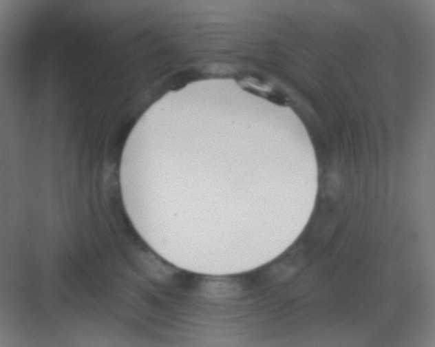 X0000081280521200702081956