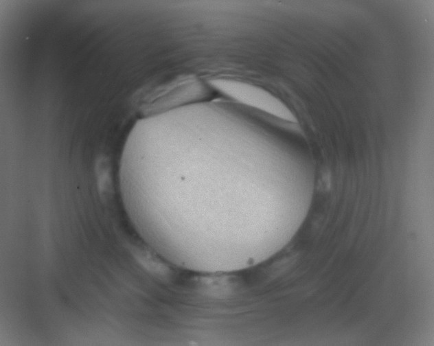 X0000081280524200702081956