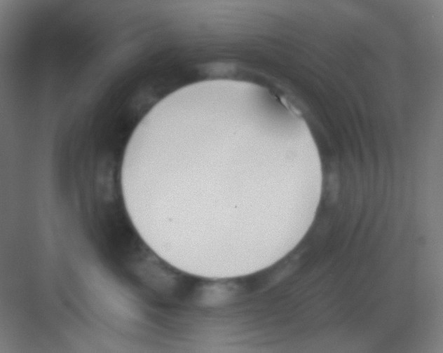 X0000081280525200702081956