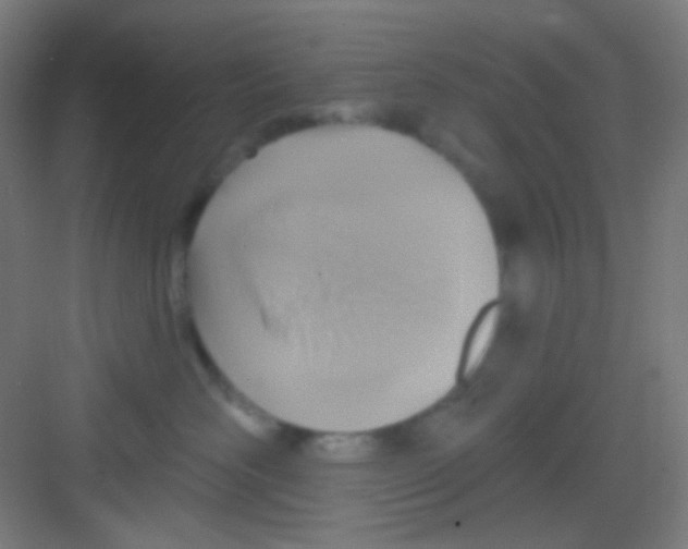 X0000081280526200702081956