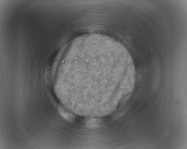 X0000081280527200702081956