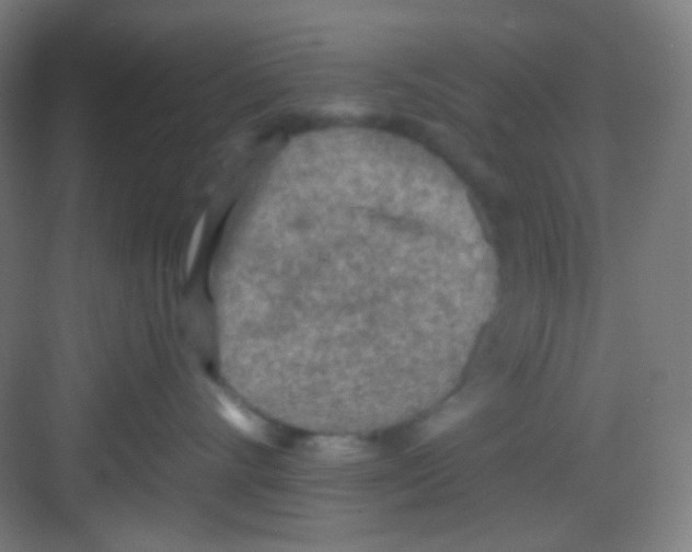 X0000081280528200702081956