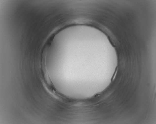 X0000081280530200702081955