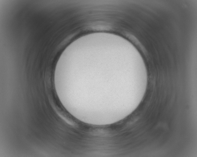 X0000081280533200702081955