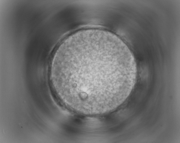 X0000081280534200702081955