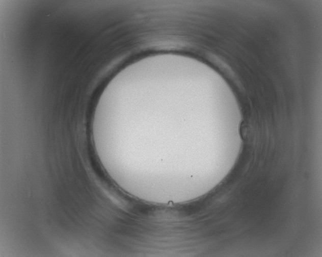 X0000081280535200702081955