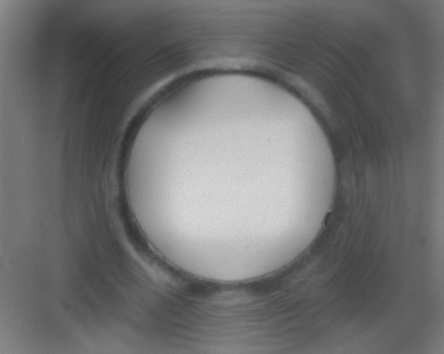 X0000081280536200702081955