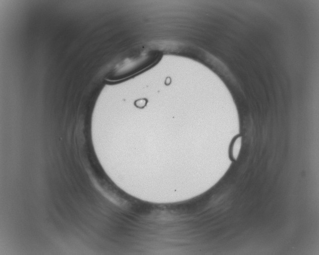 X0000081280538200702081955