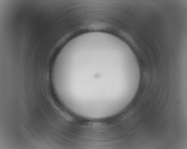 X0000081280539200702081955