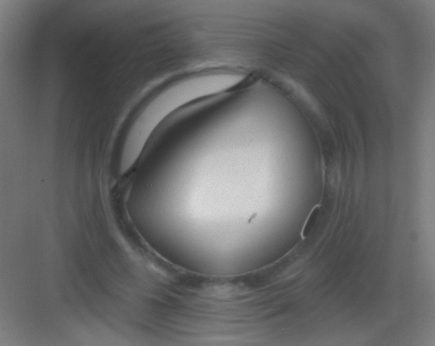 X0000081280540200702081955