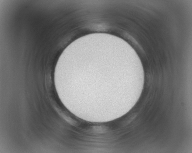 X0000081280541200702081955