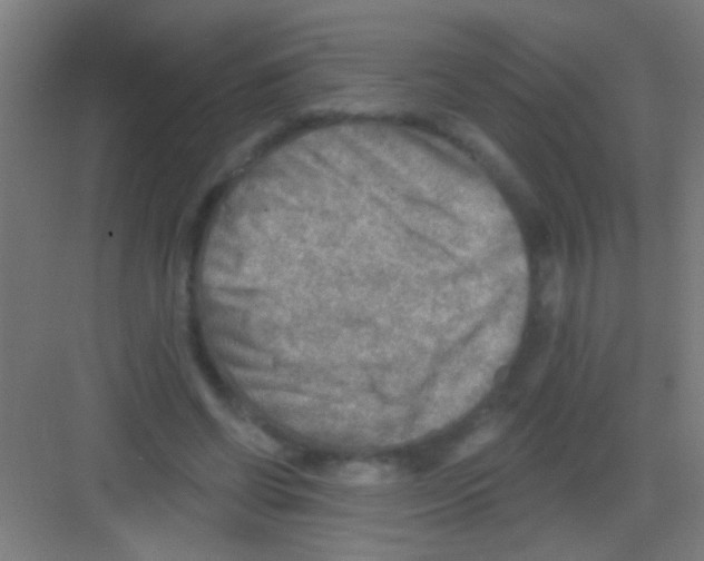 X0000081280542200702081955