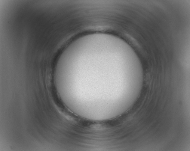 X0000081280544200702081955