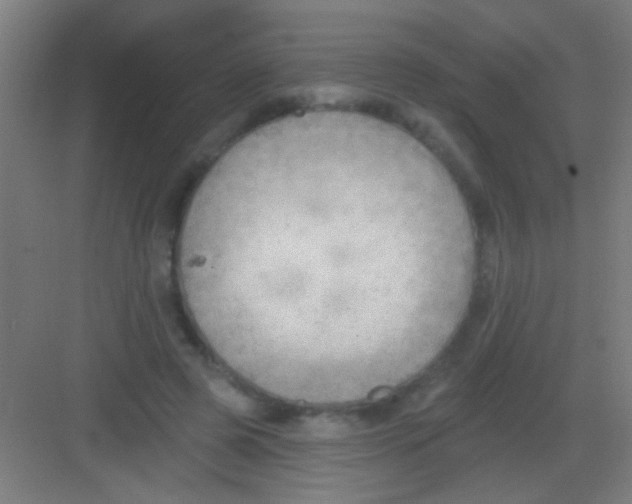 X0000081280545200702081955