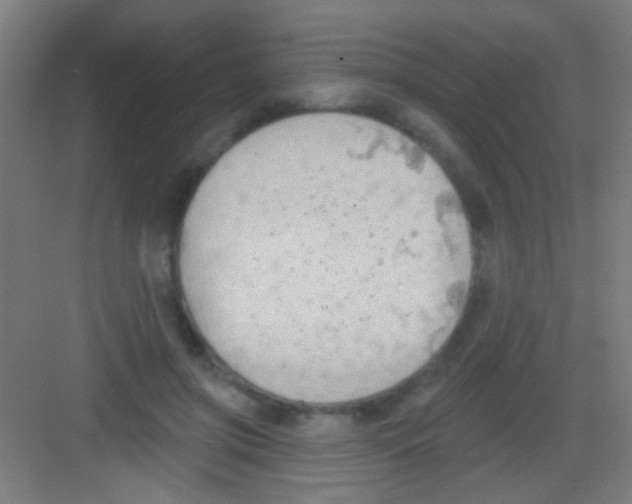 X0000081280549200702081955