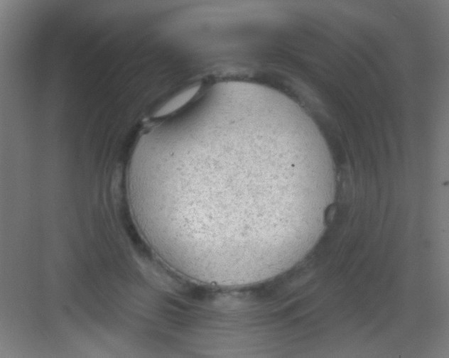 X0000081280550200702081955