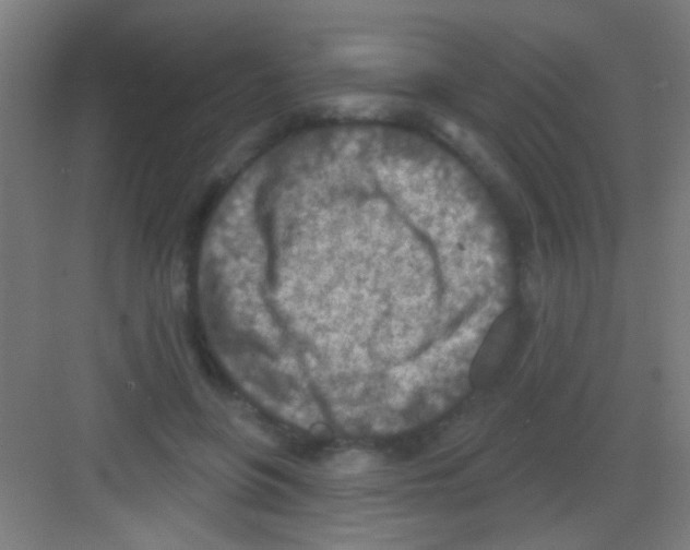 X0000081280551200702081955