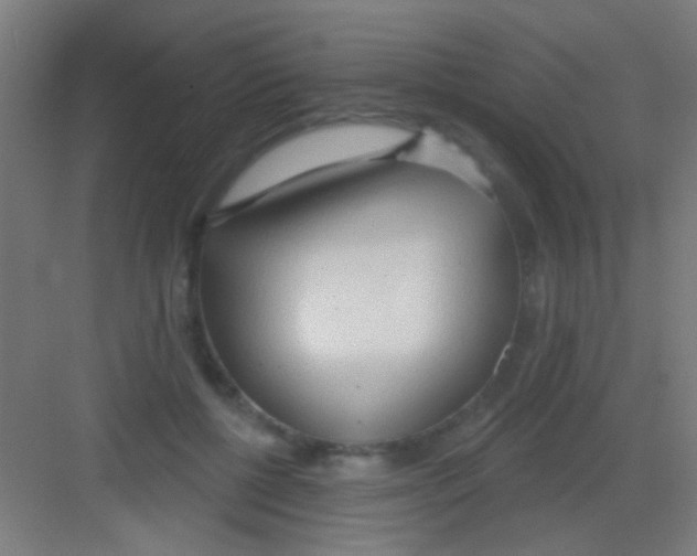 X0000081280552200702081955