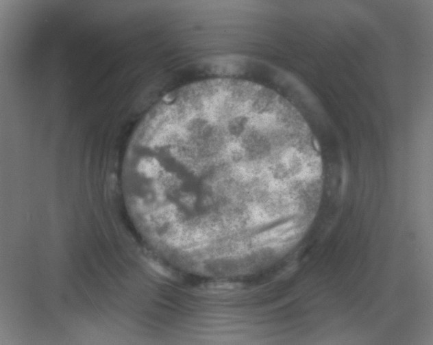 X0000081280553200702081955