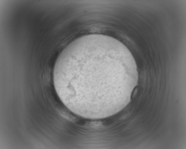 X0000081280554200702081955