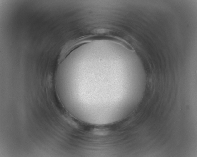 X0000081280556200702081955