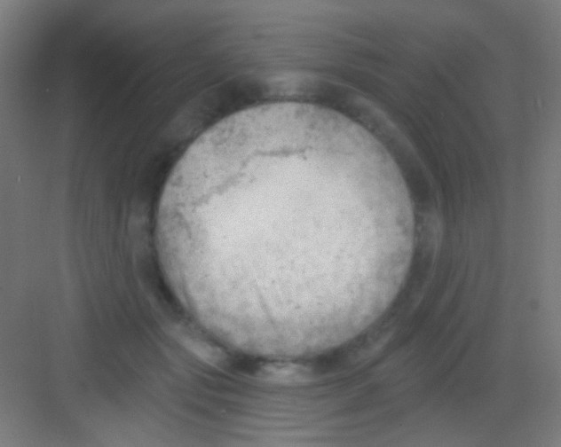 X0000081280557200702081955