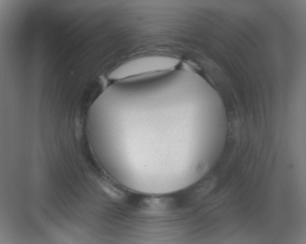 X0000081280558200702081955