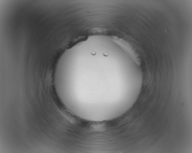 X0000081280560200702081955