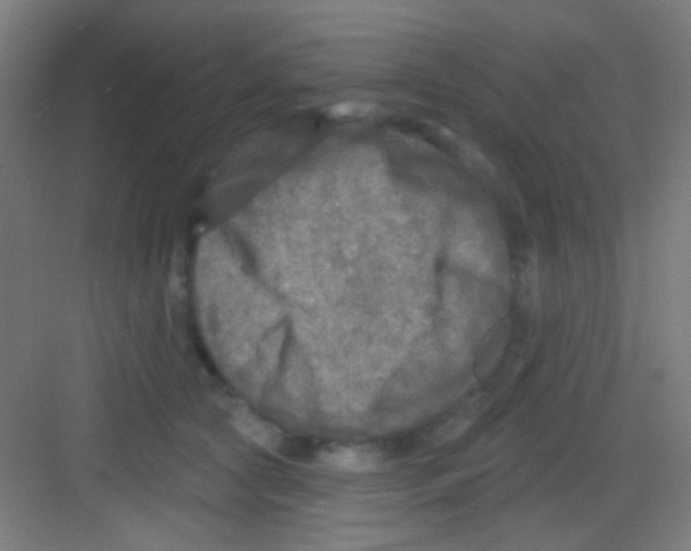 X0000081280561200702081955