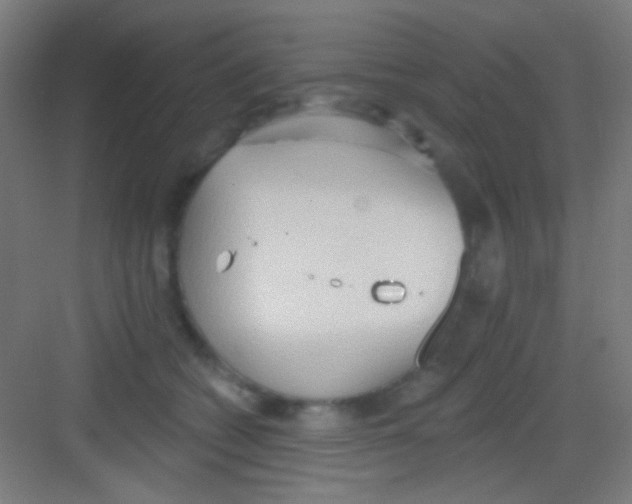 X0000081280562200702081955