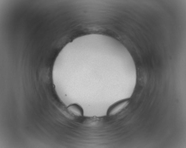 X0000081280563200702081955