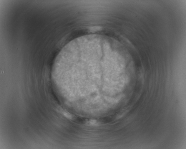 X0000081280565200702081955