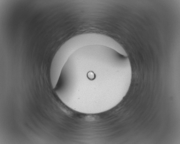 X0000081280566200702081956