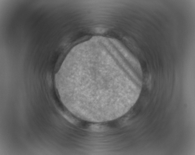 X0000081280568200702081956