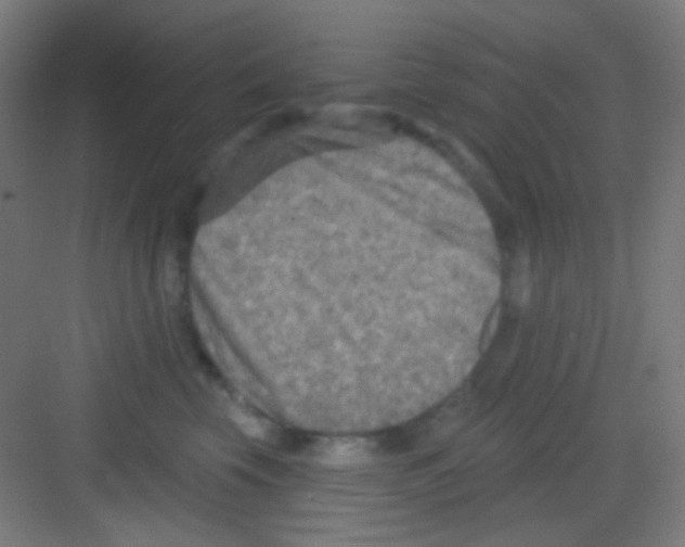 X0000081280569200702081956