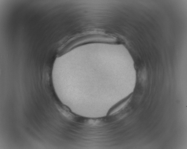 X0000081280570200702081956