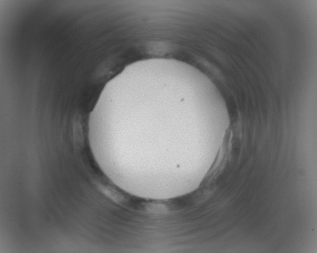 X0000081280572200702081956