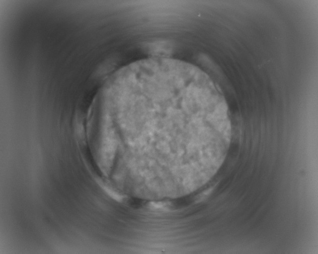 X0000081280573200702081956