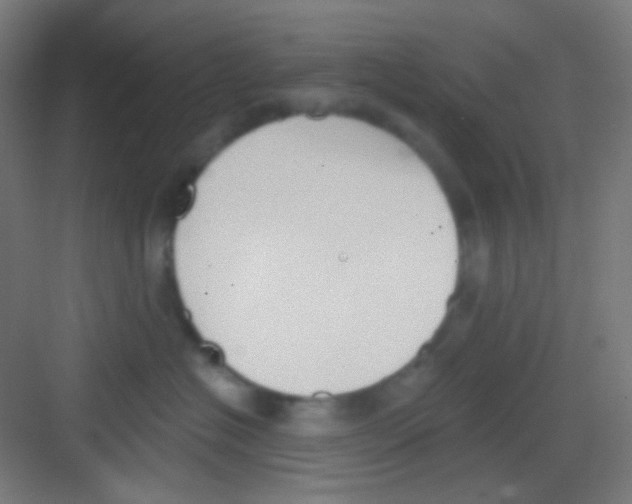 X0000081280574200702081956