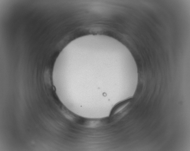 X0000081280575200702081956