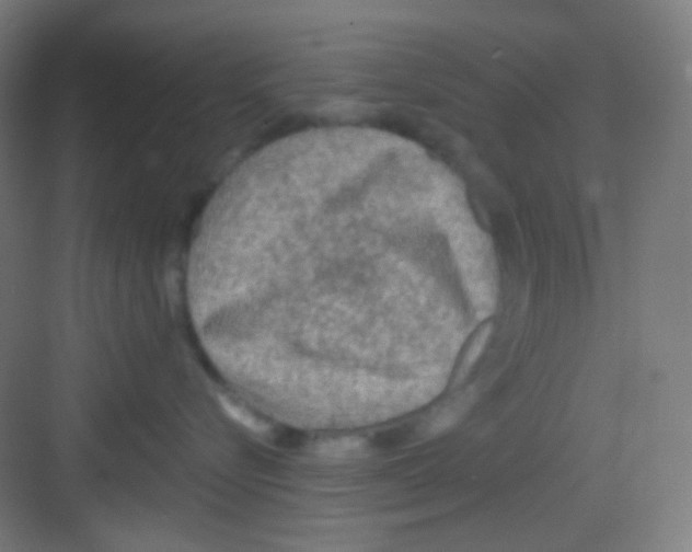 X0000081280576200702081956