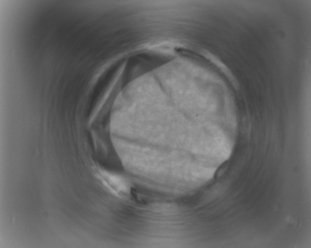 X0000081280577200702081955