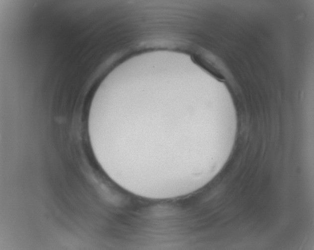 X0000081280578200702081955