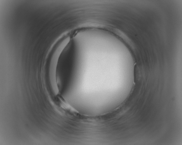 X0000081280580200702081955