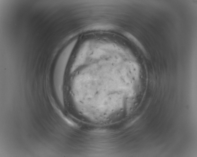 X0000081280581200702081955